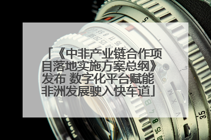 《中非产业链合作项目落地实施方案总纲》发布 数字化平台赋能非洲发展驶入快车道