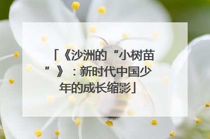 《沙洲的“小树苗”》：新时代中国少年的成长缩影