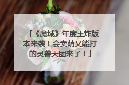 《魔域》年度王炸版本来袭！会卖萌又能打的灵兽天团来了！