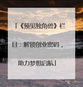 《预见独角兽》栏目：解锁创业密码，助力梦想启航