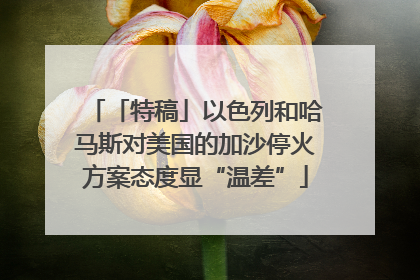 「特稿」以色列和哈马斯对美国的加沙停火方案态度显“温差”
