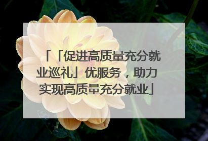 「促进高质量充分就业巡礼」优服务，助力实现高质量充分就业