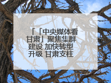 「中央媒体看甘肃」聚焦集群建设 加快转型升级 甘肃支柱产业增势强劲