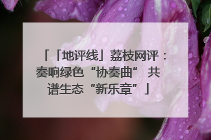 「地评线」荔枝网评：奏响绿色“协奏曲” 共谱生态“新乐章”