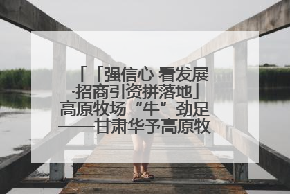 「强信心 看发展·招商引资拼落地」高原牧场“牛”劲足——甘肃华予高原牧场高标准奶牛肉牛养殖项目一线见闻