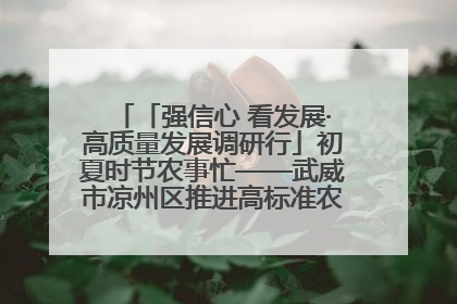 「强信心 看发展·高质量发展调研行」初夏时节农事忙——武威市凉州区推进高标准农田建设见闻