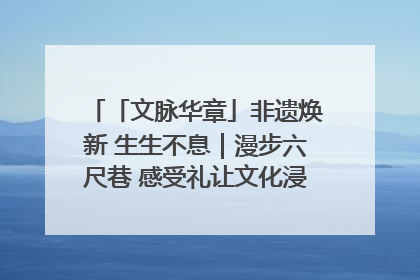 「文脉华章」非遗焕新 生生不息｜漫步六尺巷 感受礼让文化浸润的“巷”往生活