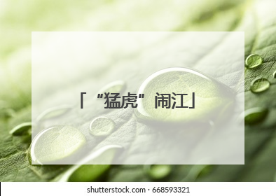 “猛虎”闹江