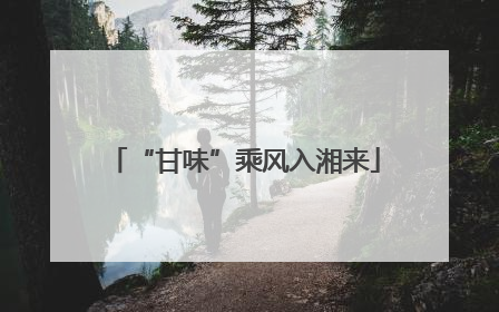 “甘味”乘风入湘来
