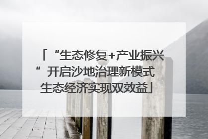 “生态修复+产业振兴”开启沙地治理新模式 生态经济实现双效益