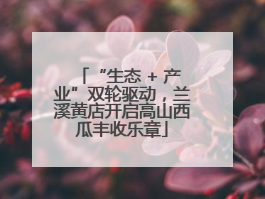 “生态 + 产业”双轮驱动，兰溪黄店开启高山西瓜丰收乐章