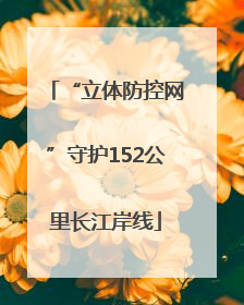 “立体防控网”守护152公里长江岸线