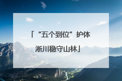 “五个到位”护体 淅川稳守山林