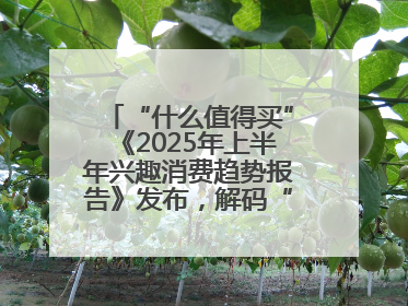 “什么值得买”《2025年上半年兴趣消费趋势报告》发布，解码“心价比”时代兴趣消费新范式