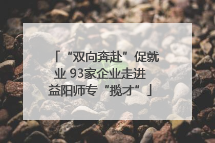 “双向奔赴”促就业 93家企业走进益阳师专“揽才”