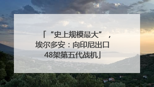 “史上规模最大”，埃尔多安：向印尼出口48架第五代战机