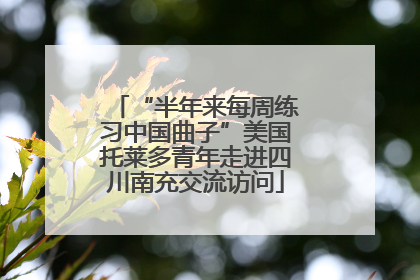 “半年来每周练习中国曲子”美国托莱多青年走进四川南充交流访问