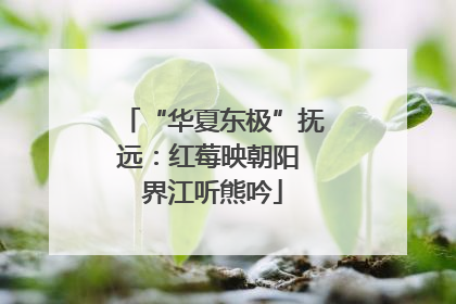 “华夏东极”抚远：红莓映朝阳 界江听熊吟