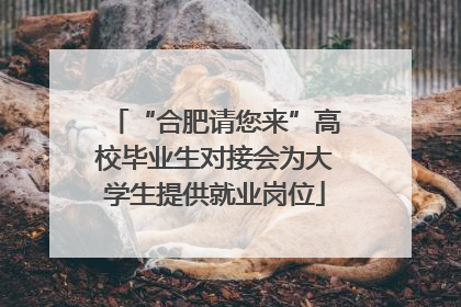 “合肥请您来”高校毕业生对接会为大学生提供就业岗位