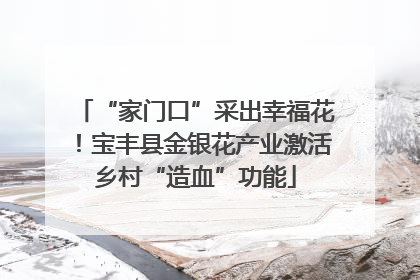“家门口”采出幸福花！宝丰县金银花产业激活乡村“造血”功能