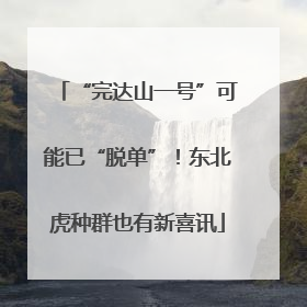 “完达山一号”可能已“脱单”！东北虎种群也有新喜讯
