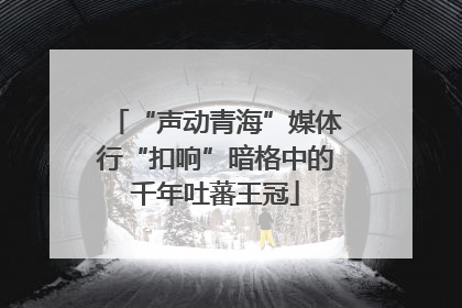 “声动青海”媒体行“扣响”暗格中的千年吐蕃王冠