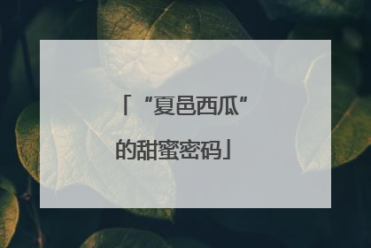 “夏邑西瓜”的甜蜜密码