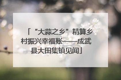 “大蒜之乡”精算乡村振兴幸福账——成武县大田集镇见闻