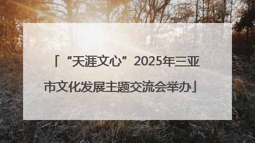 “天涯文心”2025年三亚市文化发展主题交流会举办