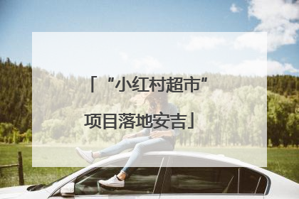 “小红村超市”项目落地安吉