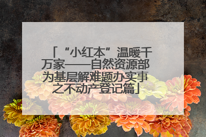 “小红本”温暖千万家——自然资源部为基层解难题办实事之不动产登记篇
