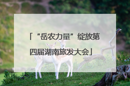 “岳农力量”绽放第四届湖南旅发大会