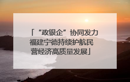 “政银企”协同发力 福建宁德持续护航民营经济高质量发展
