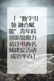 “数字引领 融合赋能”青年科创新锐助力宿迁电商名城建设活动成功举办