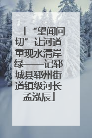 “望闻问切”让河道重现水清岸绿——记郓城县郓州街道镇级河长孟泓辰