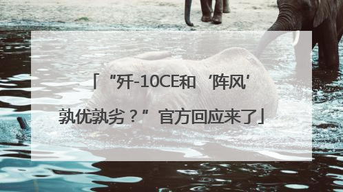“歼-10CE和‘阵风’孰优孰劣？”官方回应来了