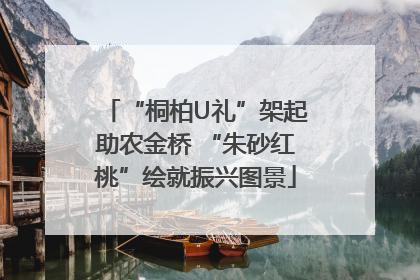 “桐柏U礼”架起助农金桥 “朱砂红桃”绘就振兴图景