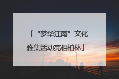 “梦华江南”文化雅集活动亮相柏林