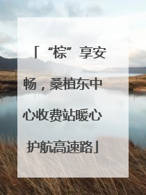 “棕”享安畅，桑植东中心收费站暖心护航高速路