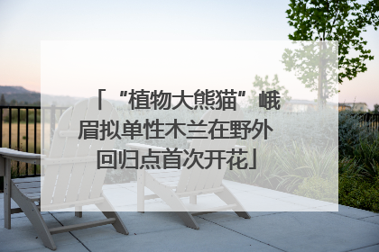 “植物大熊猫”峨眉拟单性木兰在野外回归点首次开花