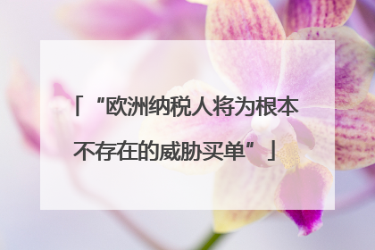 “欧洲纳税人将为根本不存在的威胁买单”