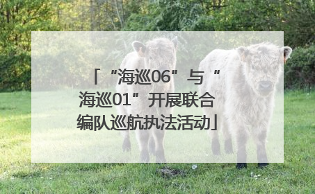 “海巡06”与“海巡01”开展联合编队巡航执法活动