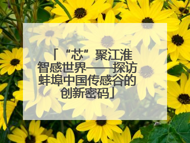 “芯”聚江淮 智感世界——探访蚌埠中国传感谷的创新密码