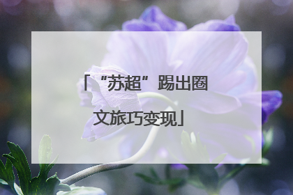 “苏超”踢出圈 文旅巧变现