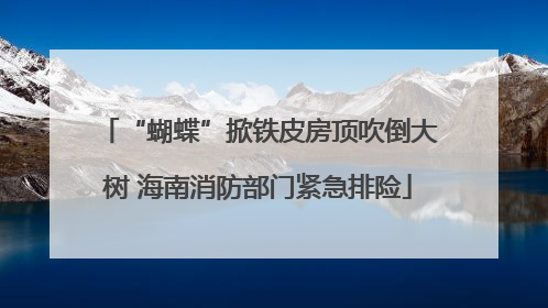 “蝴蝶”掀铁皮房顶吹倒大树 海南消防部门紧急排险