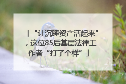 “让沉睡资产活起来”，这位85后基层法律工作者“打了个样”