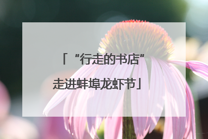 “行走的书店”走进蚌埠龙虾节