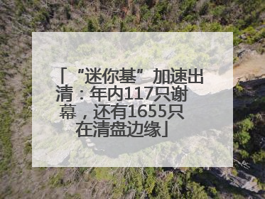 “迷你基”加速出清：年内117只谢幕，还有1655只在清盘边缘