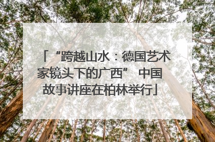 “跨越山水：德国艺术家镜头下的广西” 中国故事讲座在柏林举行