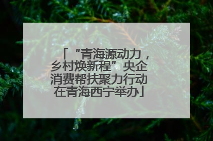 “青海源动力，乡村焕新程”央企消费帮扶聚力行动在青海西宁举办